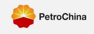 Petro China